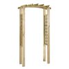 vidaXL Tuinboog 110x60x210 cm ge&iuml;mpregneerd massief grenenhout