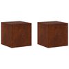 vidaXL Plantenstandaard 2 pcs Roestkleurig 40 x 40 x 40 cm
