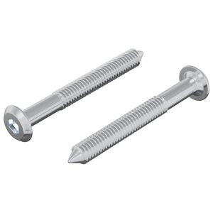 vidaXL Bout 2 pcs Zilver M6 x 50 mm Staal