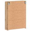 vidaXL Badkamer spiegelkast TULUM Artisan Eiken 60 x 16,5 x 78 cm