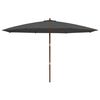 vidaXL Parasol met houten paal 400x273 cm antracietkleurig
