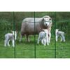 Miniatuurafbeelding van het product 2 van 3