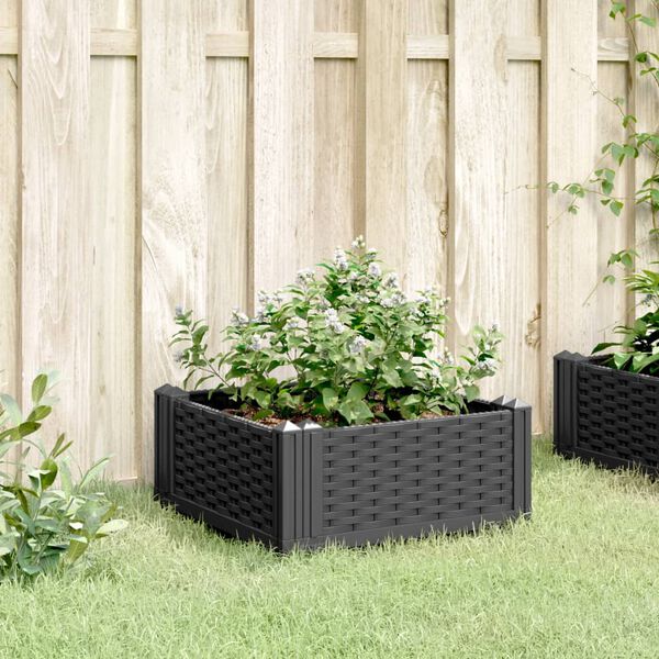 vidaXL Plantenbak met pinnen 42,5x42,5x28,5 cm polypropeen zwart
