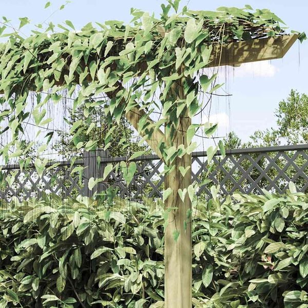 Productafbeelding 4 van 11