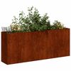 vidaXL Plantenbak roestig 200x40x80 cm weervast staal