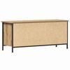 vidaXL TV-kast Artisan Eiken 100 x 35 x 45 cm Bewerkt hout