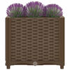 Miniatuurafbeelding van het product 6 van 8