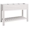 vidaXL Plantenbak verhoogd 110x45x79 cm polypropeen wit