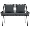 vidaXL Tuinbank Zwart en Anthraciet poly rattan