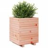 vidaXL Plantenbak 40x40x49,5 cm massief douglashout
