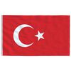 vidaXL Vlag met vlaggenmast Turkije 5,5 m aluminium