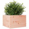 vidaXL Plantenbak 70x70x46 cm massief douglashout