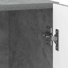 Miniatuurafbeelding van het product 9 van 11