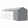 vidaXL Hondenkennel met dak 2x10x2,5 m gegalvaniseerd staal zilver