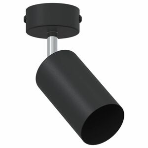 vidaXL Plafondspot met schijnwerpers Zwart 6 x 6 x 16 cm Metaal