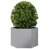 Miniatuurafbeelding van het product 3 van 11