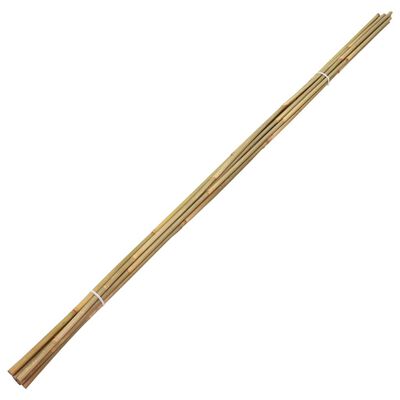 vidaXL Tuinstokken 50 st 170 cm bamboe