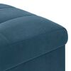 vidaXL Opslagottoman met kussen Blauw 40 x 40 x 45 cm Fluweel