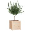 vidaXL Plantenbak 70x70x70 cm massief grenenhout