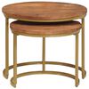 vidaXL Nest Koffietafels 2 pcs Honingbruin Massief mangohout en staal