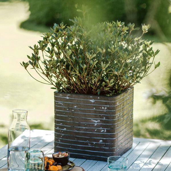 Capi Plantenbak Nature Row vierkant 30x30x30 cm olijfgroen