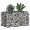 vidaXL Gabion Verhoogd Bed Zilver 100 x 60 x 55 cm
