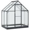 vidaXL Tuin Serre met de deur Antracietkleurig 183,5 x 123 x 207 cm
