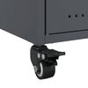Miniatuurafbeelding van het product 12 van 14