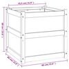vidaXL Plantenbak 60x60x60 cm massief douglashout