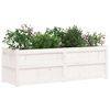 vidaXL Plantenbak 150x50x50 cm massief grenenhout wit