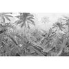 Komar Fotobehang Amazonia Black and White 400x250 cm