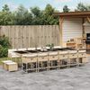 vidaXL 17-delige Tuinset met kussens poly rattan beige