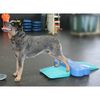 FitPAWS Huisdieren balanshelling 35x35x7 cm blauw