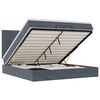 vidaXL Ottoman bed met matrassen en LED's 160x200cm fluweel