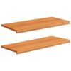 vidaXL Raamkozijnen 2 st Licht Bruin 100 x 40 x 2 cm