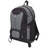 vidaXL Hikingrugzak 40 L zwart en grijs