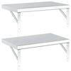 vidaXL Wandschappen 2 st 50x30 cm roestvrijstaal zilverkleurig