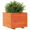 vidaXL Plantenbak 60x60x49,5 cm massief grenenhout wasbruin