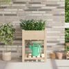 vidaXL Tuin Bloempot Beige 60,5 x 60 x 76,5 cm Massief Vurenhout