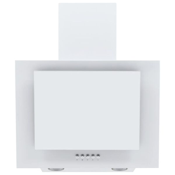 vidaXL Afzuigkap RGB-LED 60 cm roestvrij staal en gehard glas