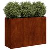 vidaXL Plantenbak roestig 120x40x80 cm weervast staal