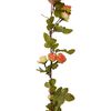 Miniatuurafbeelding van het product 6 van 7