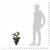 Miniatuurafbeelding van het product 3 van 3