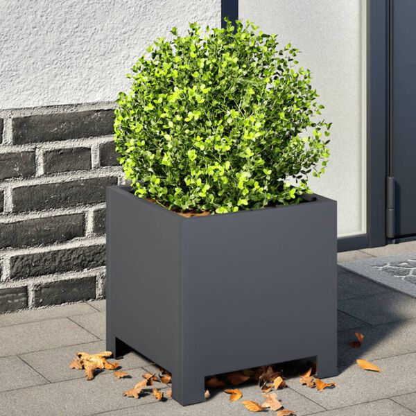 Productafbeelding 2 van 12