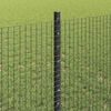 Miniatuurafbeelding van het product 4 van 13