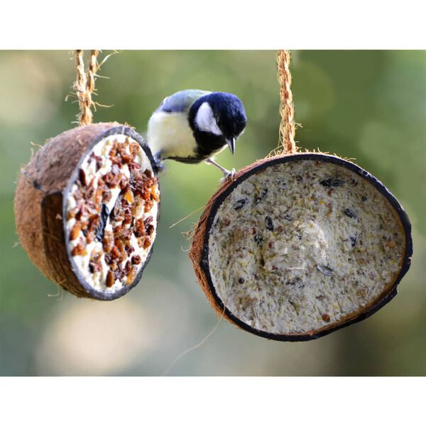 dobar 1/2 Kokosnoten 10 st 5 smaken voor wilde vogels