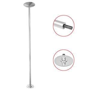 vidaXL Danspaal in hoogte verstelbaar 224-275 cm