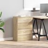 vidaXL Kasten met 2 lades 2 st 60x31x40 cm bewerkt hout sonoma eiken