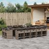 vidaXL 15-delige Tuinset met kussens poly rattan grijs