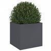 Miniatuurafbeelding van het product 4 van 11